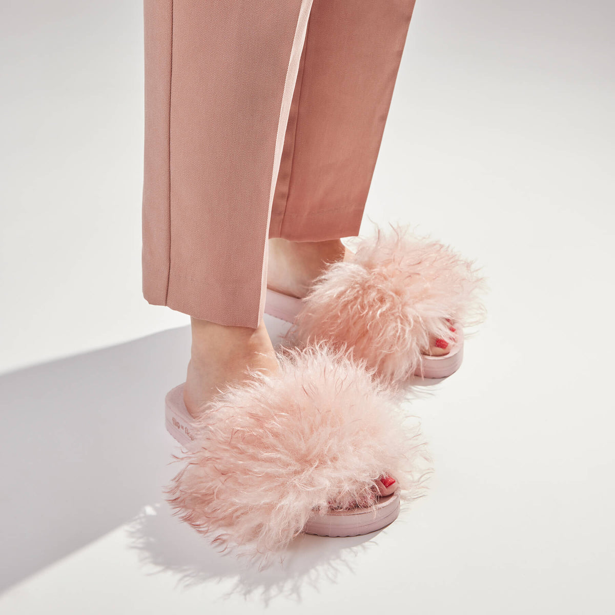 pool*curly - flip*flop eShop