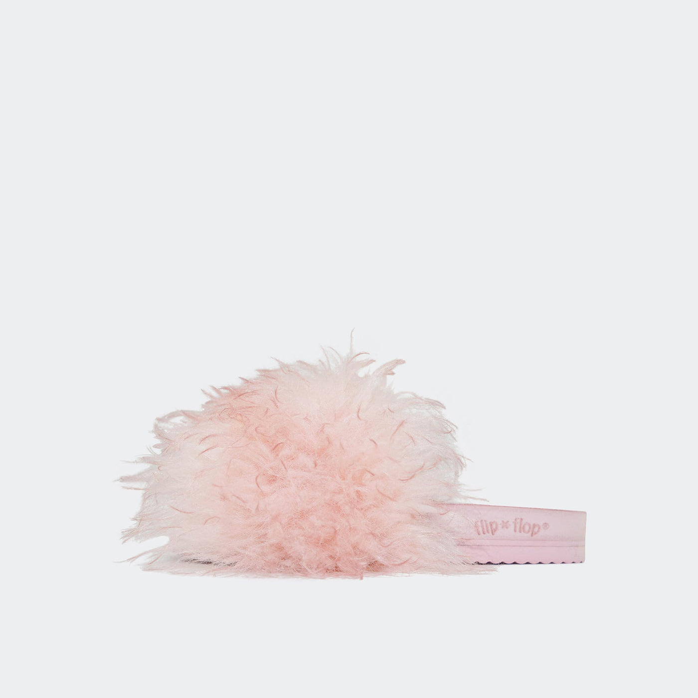 pool*curly - flip*flop eShop