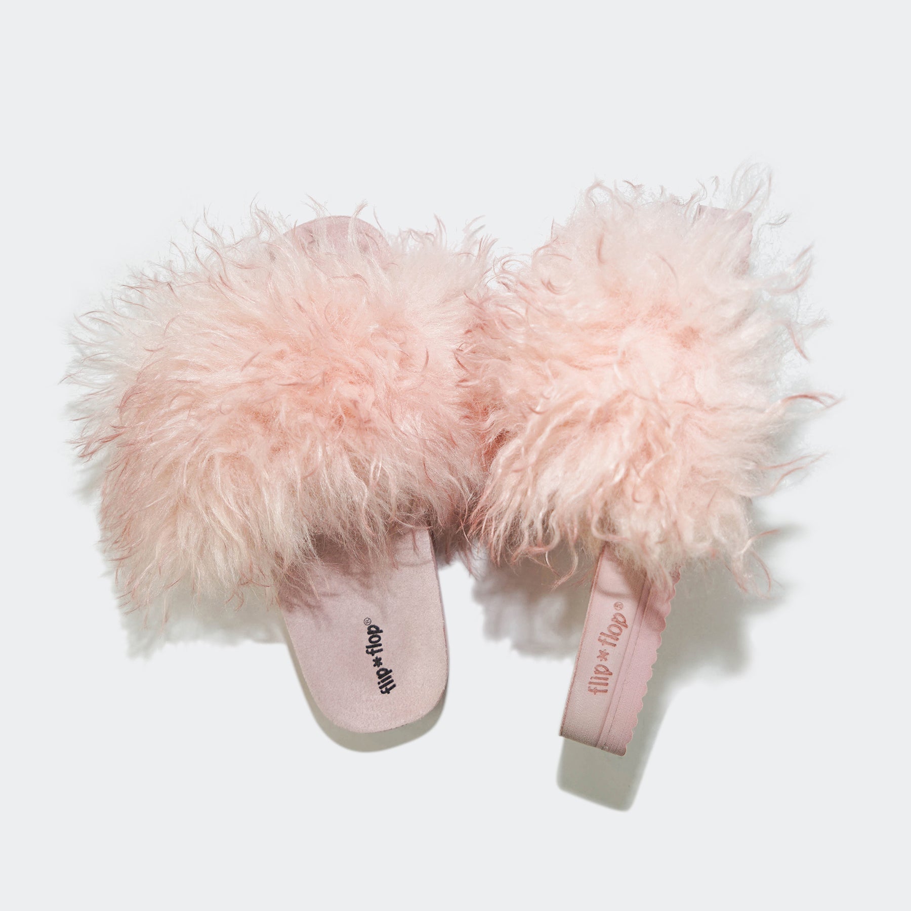 pool*curly - flip*flop eShop